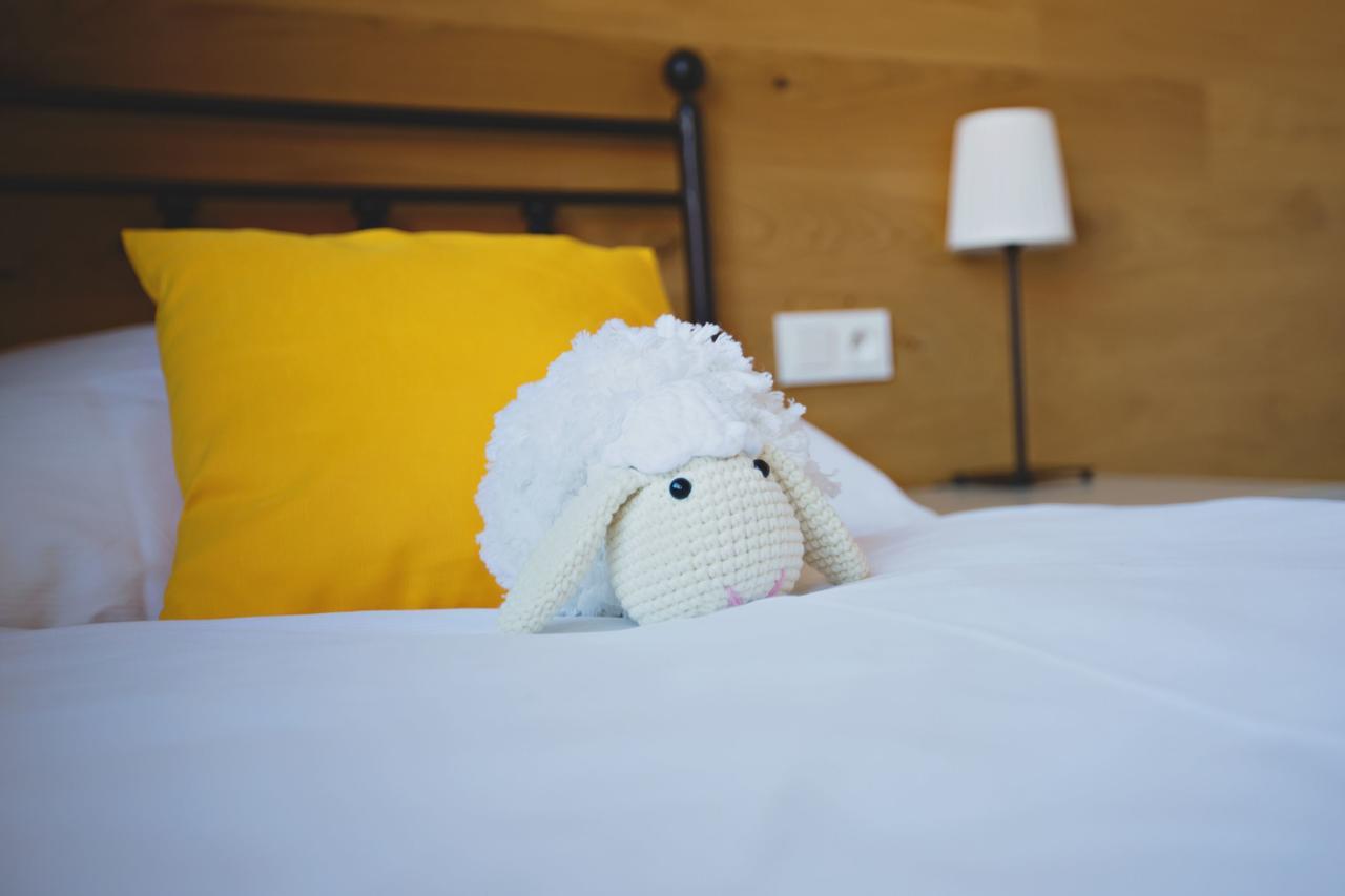 Statek Ceska Lipa Myslovice Hotel Klatovy Eksteriør billede